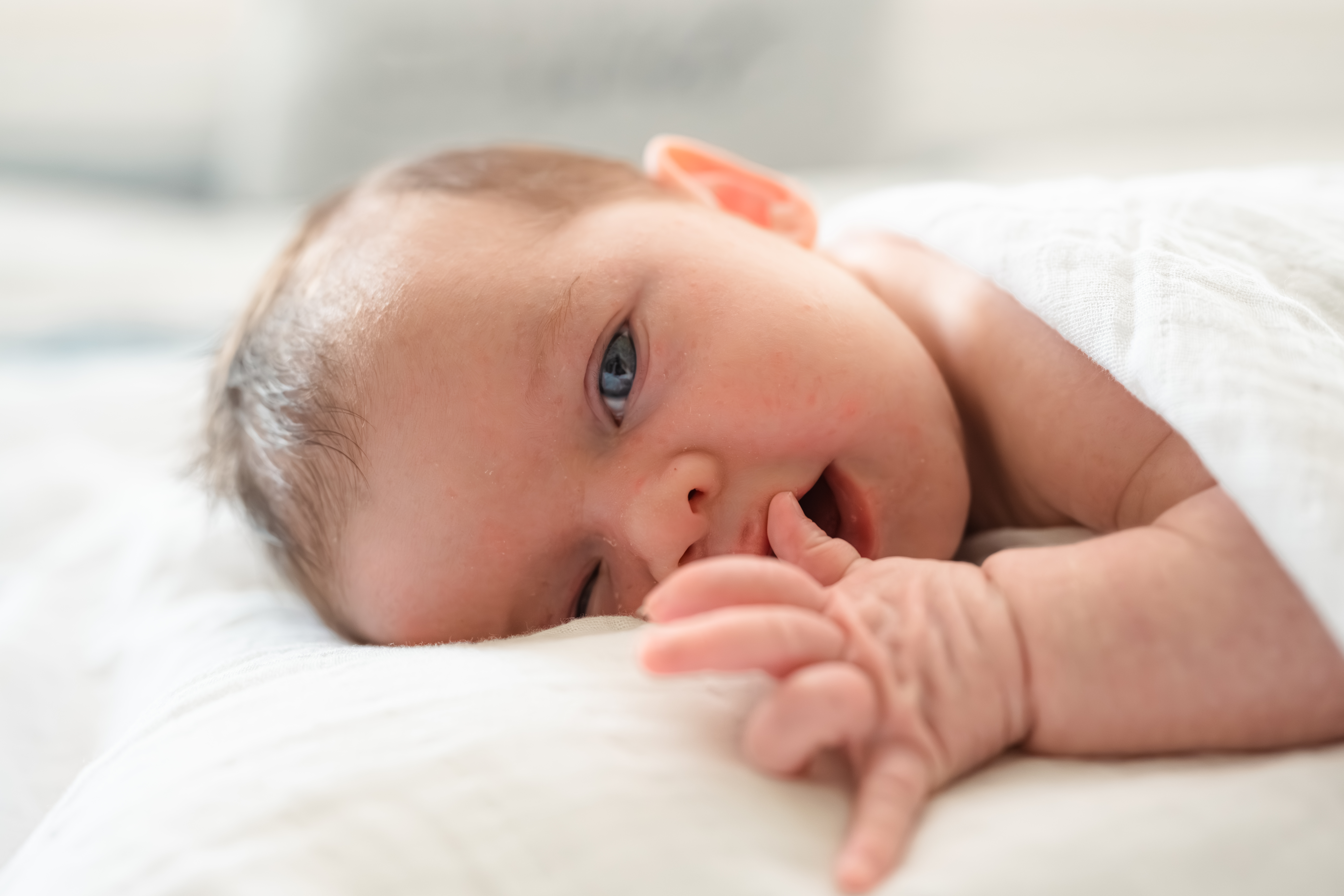 Lifestyle Newborn in Salisbury NC